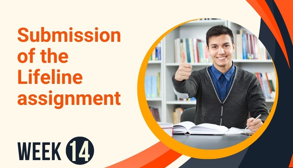 Week 14: Submission of the Lifeline assignment